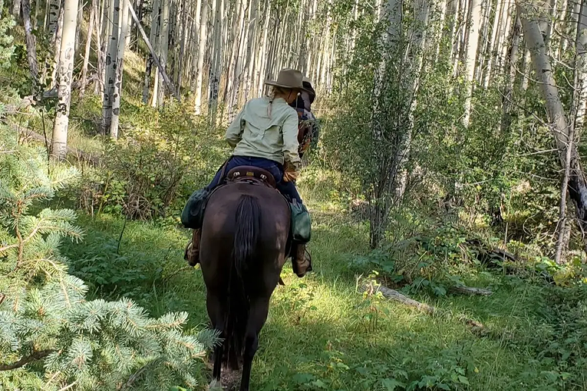 Horseback Riding photo 6