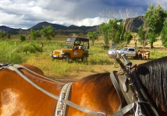 Horseback Riding gallery thumbnail