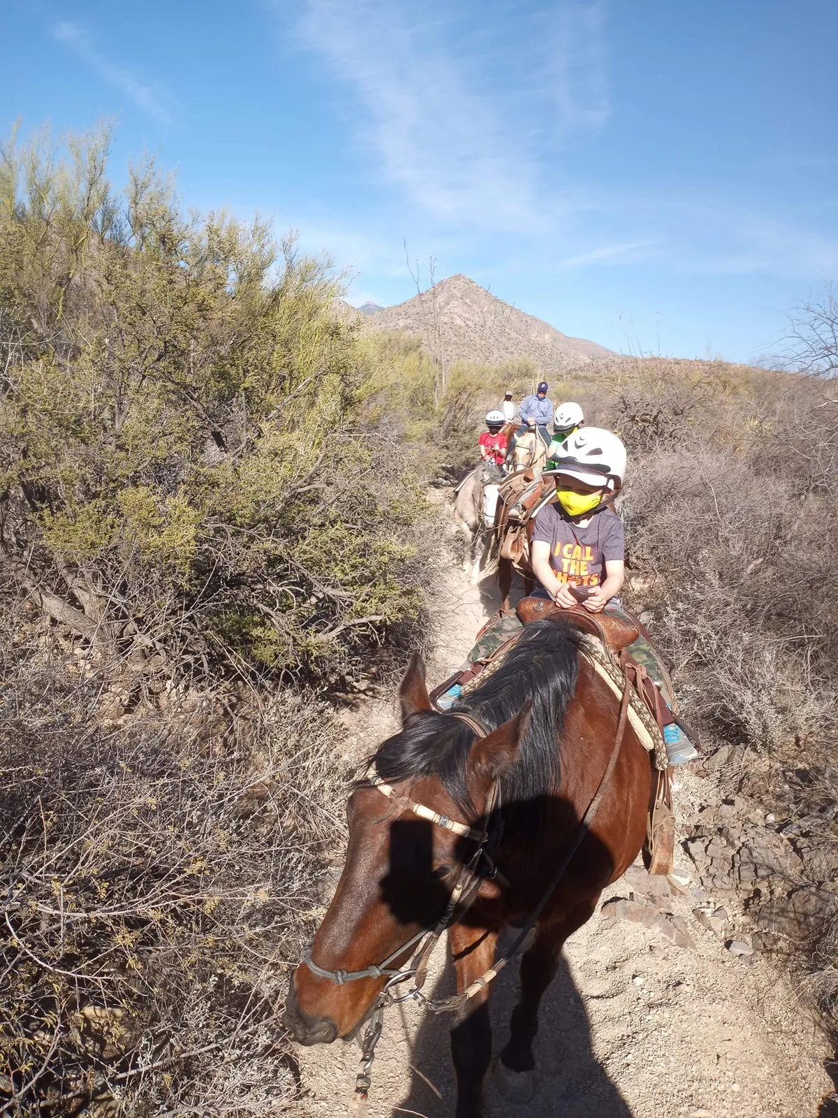 Horseback Riding photo 13